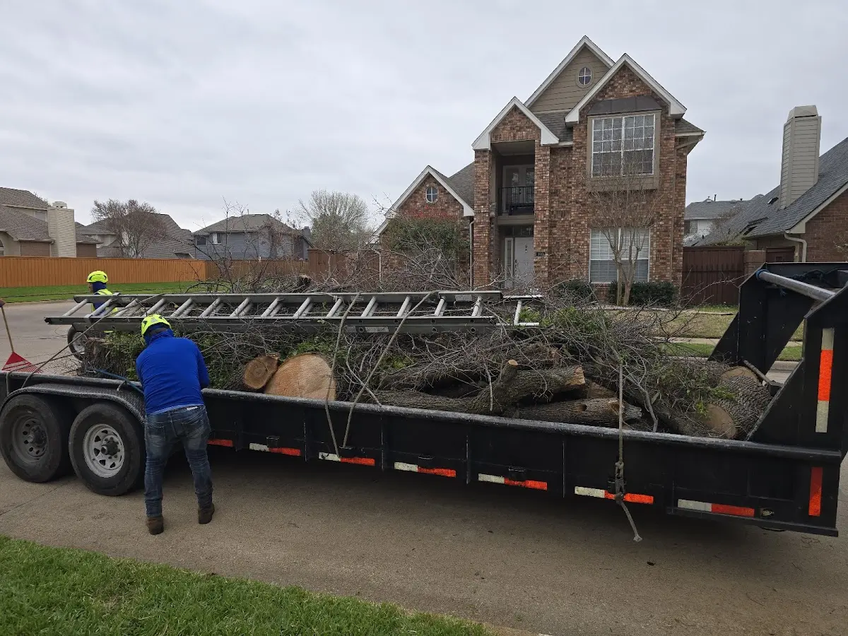 Expert Tree Fertilization with proper safety equipment in Pine Top